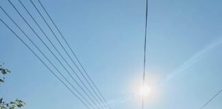 ینگ فارماسسٹ کمیونٹی کا پشاور پریس کلب کے سامنے پرامن احتجاج