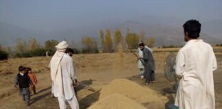 پختون ثقافتی روایت ” قلاہ” جس کا نام بھی ختم ہونے کی قریب