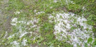 موسمیاتی تبدیلی کے تباہ کاریاں جاری، باجوڑ میں شدید ژالہ باری فصلیں متاثر