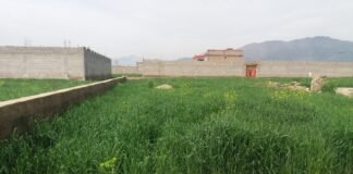 باجوڑکے زرعی زمینوں پر تعمیرات کی بھرمار زرعی پیداوار اور ماحولیات کے لئے بڑا چیلنج