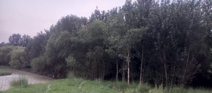 WhatsApp Image 2025-08-06 at 21.27.45_c865bf8f