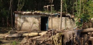 پاکستان میں حالیہ سیلاب سے 822 ارب روپے کا نقصان