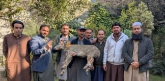 باجوڑمیں معدوم ہوتی جنگلی حیات! تحفظ کے لئے حکومتی اقدامات کتنی موثر ہوگی؟