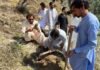 موسمیاتی تبدیلی کے منفی اثرات کے تدارک کے لئے مقامی نوجوانوں کی طرف سے رضاکارانہ شین باجوڑمہم کا آغاز